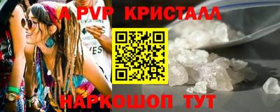 спиды Тосно