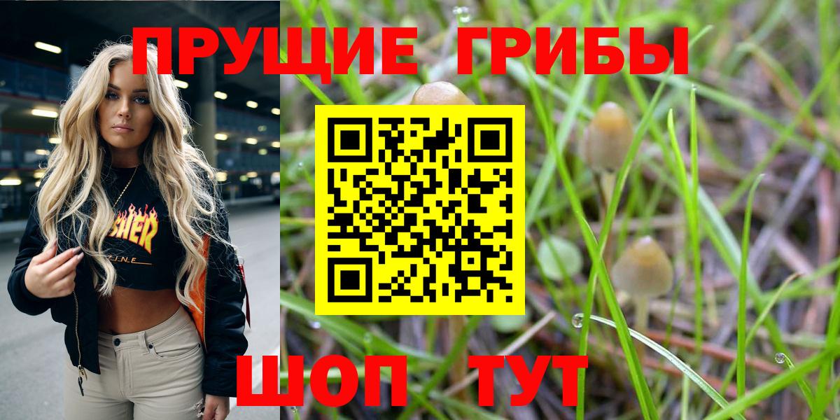 Псилоцибиновые грибы мицелий Дзержинск