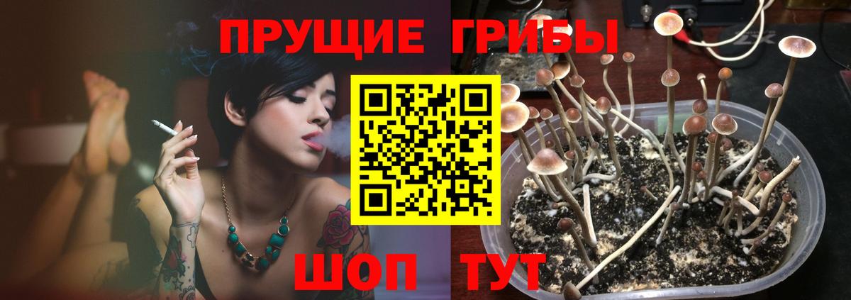Галлюциногенные грибы ЛСД  Вход с VPN  Псилоцибиновые грибы мухоморы  купить наркоту  Дзержинск 