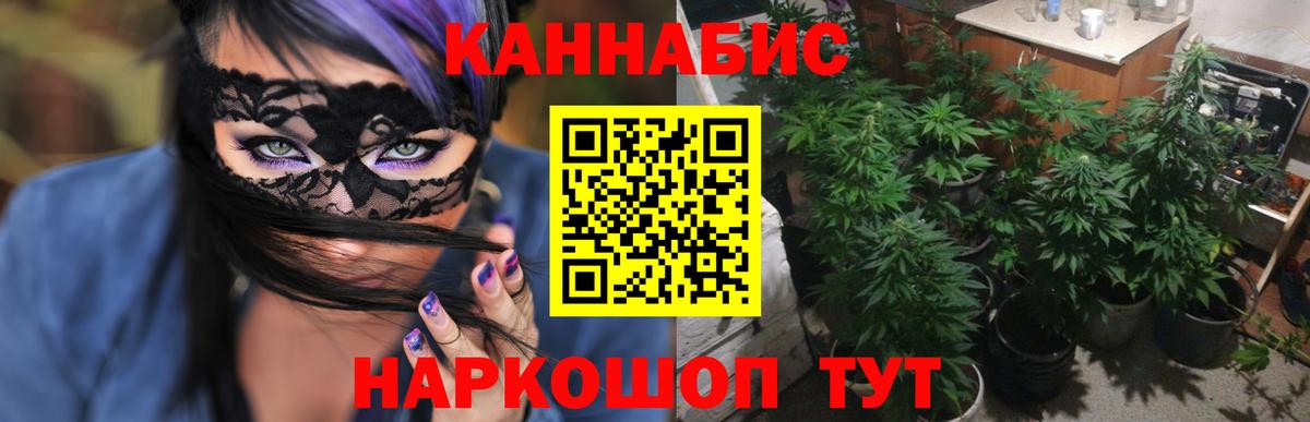 Дзержинск  Бошки Шишки гибрид  Бошки марихуана сатива  Вход с VPN  Бошки Шишки Ganja  Бошки Шишки Bruce Banner 